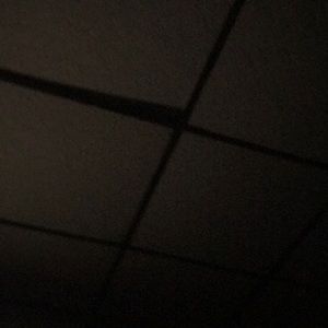 Meet your Posher, Garrett